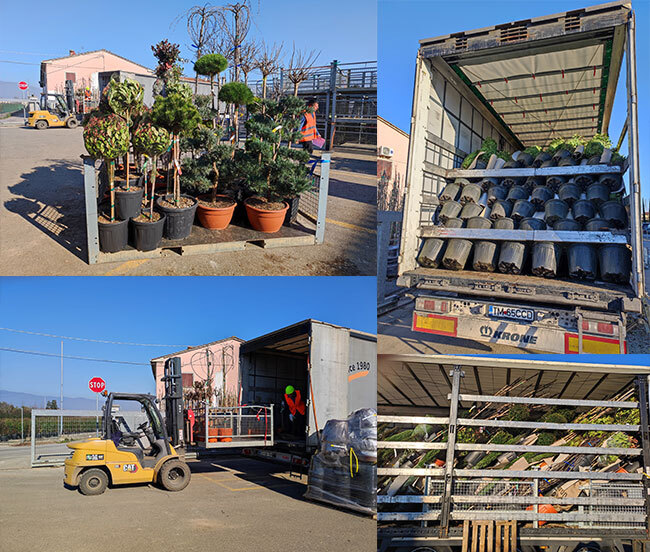 Logistica